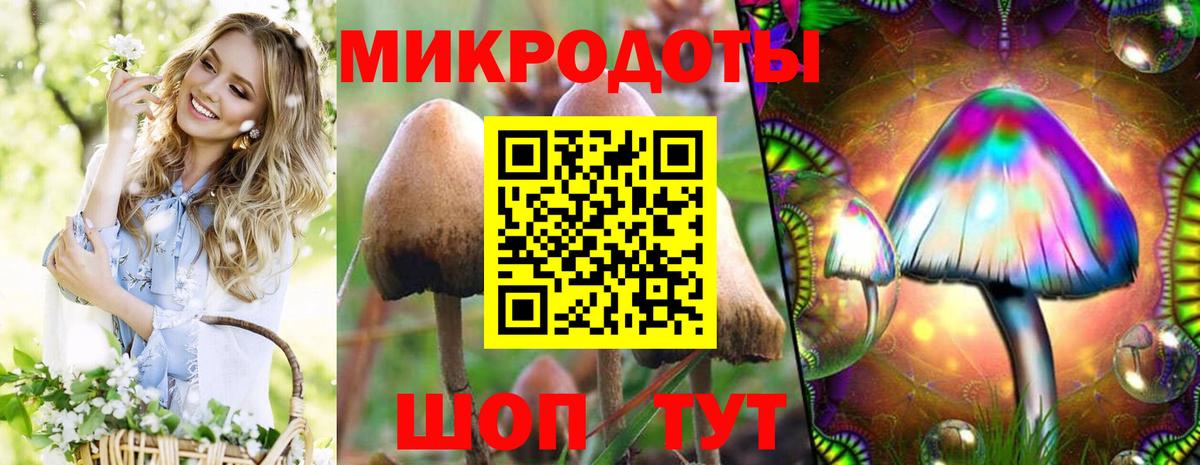 Галлюциногенные грибы Cubensis Лыткарино